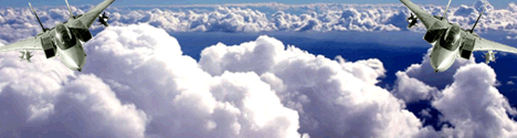 Top Gun Banner (468 x 125) (99K)